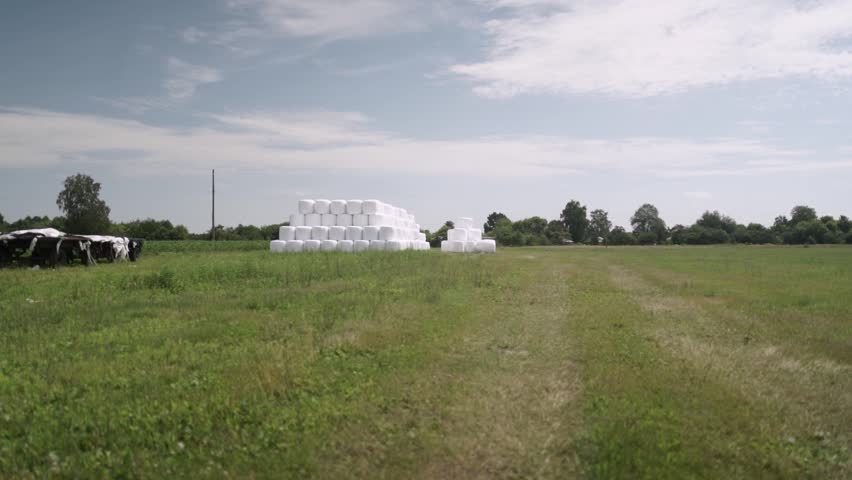 Stack of Wrapped Silage Bales on Green Field
Stacked white wrapped silage bales placed on green agricultural field. Modern livestock farming and forage storage concept.