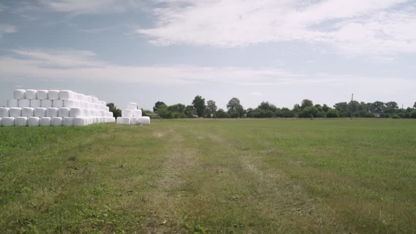 Stack of Wrapped Silage Bales on Green Field
Stacked white wrapped silage bales placed on green agricultural field. Modern livestock farming and forage storage concept.