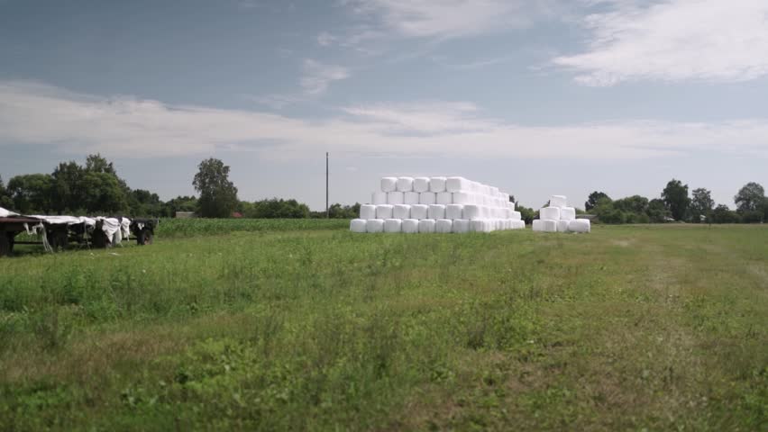 Stack of Wrapped Silage Bales on Green Field
Stacked white wrapped silage bales placed on green agricultural field. Modern livestock farming and forage storage concept.
