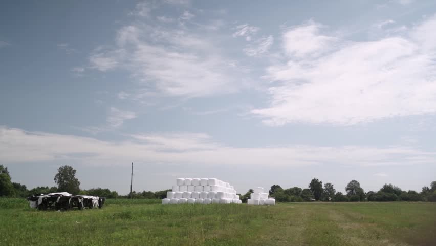 Stack of Wrapped Silage Bales on Green Field
Stacked white wrapped silage bales placed on green agricultural field. Modern livestock farming and forage storage concept.