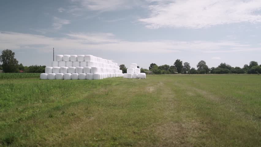 Stack of Wrapped Silage Bales on Green Field
Stacked white wrapped silage bales placed on green agricultural field. Modern livestock farming and forage storage concept.
