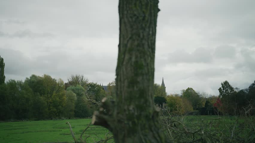 Salisbury Cathedral spire viewed across an open field partially framed by a tree with surrounding greenery in a natural landscape setting