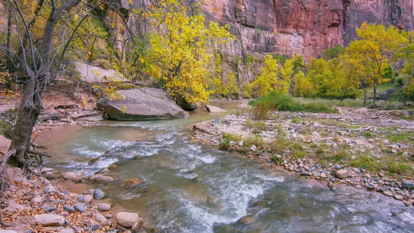 Footage of the serene Riverside Walk, a paved trail following the Virgin River through the towering red sandstone cliffs of Zion Canyon in Zion National Park, Utah.