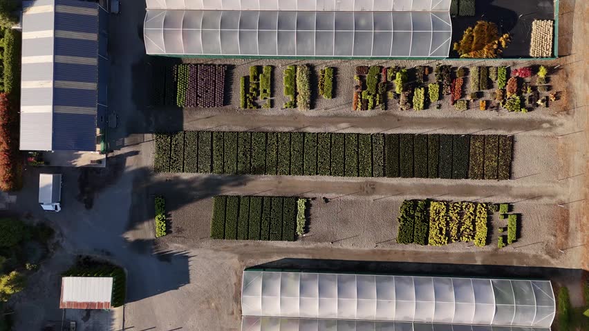 Colorful rows of plants and seedlings at a commercial garden center in Sheffield, New Zealand. Aerial top-down orbiting