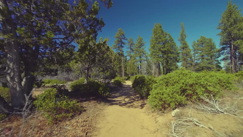 Scenic footage of the East Mesa Trail in Zion National Park, Utah. This relatively flat dirt trail winds through pine and scrub, leading hikers to the stunning views at Observation Point. A beautiful,