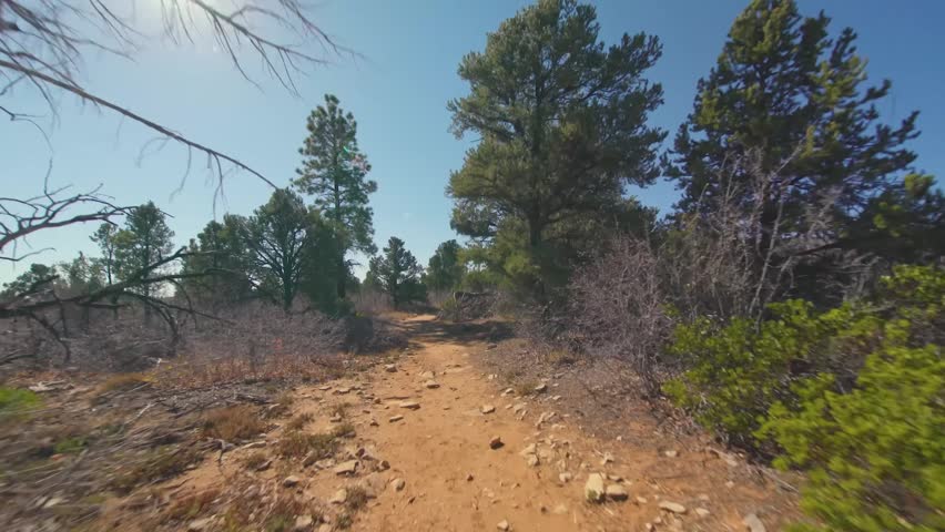 Footage of the East Mesa Trail, a popular hiking path in Zion National Park, Utah, leading to the iconic Observation Point viewpoint. The trail is a relatively flat dirt path winding through a pinyon-