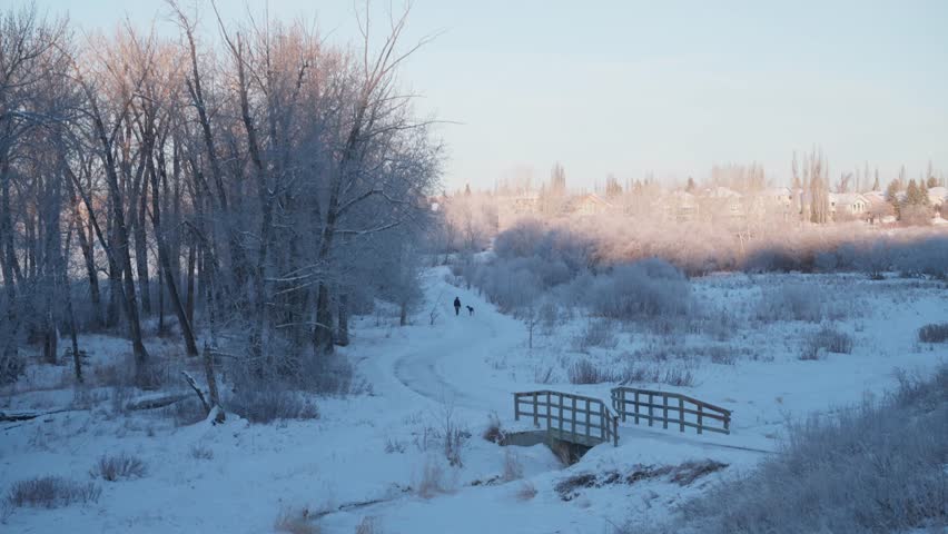 Elevated winter scene featuring a small footbridge, snow-covered ground, and frosted trees in a peaceful park setting with soft daylight.