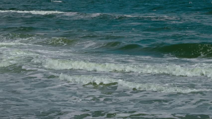 A flock of seagulls floating on the turquoise waves of the Black Sea with white sea foam in Odesa, Ukraine.