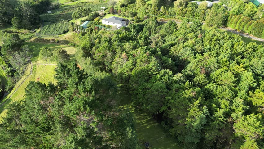Beautiful house in New Zealand surrounded by trees