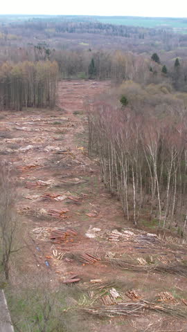 High angle aerial shot showing significant tree removal and logging operations within a dense forest, highlighting environmental impact and industrial timber harvesting.
