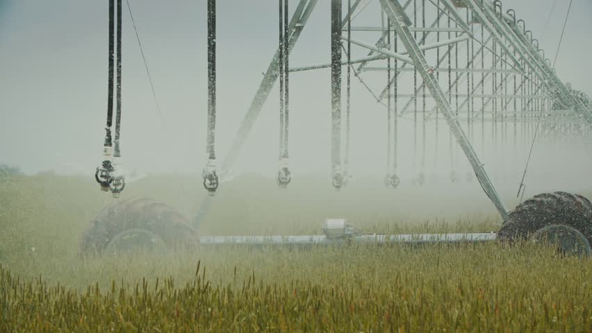  Center-Pivot Irrigation Over Golden Wheat Field