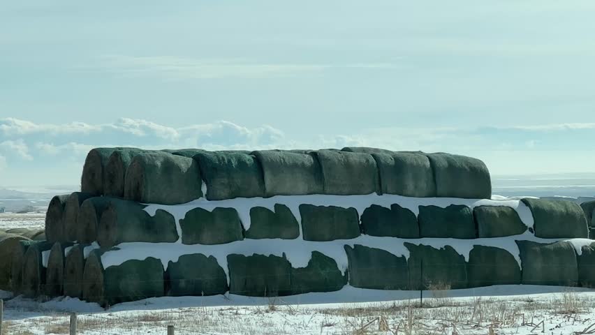 Hay bales in winter landscape with snow covered farmland and open prairie countryside in 4K footage