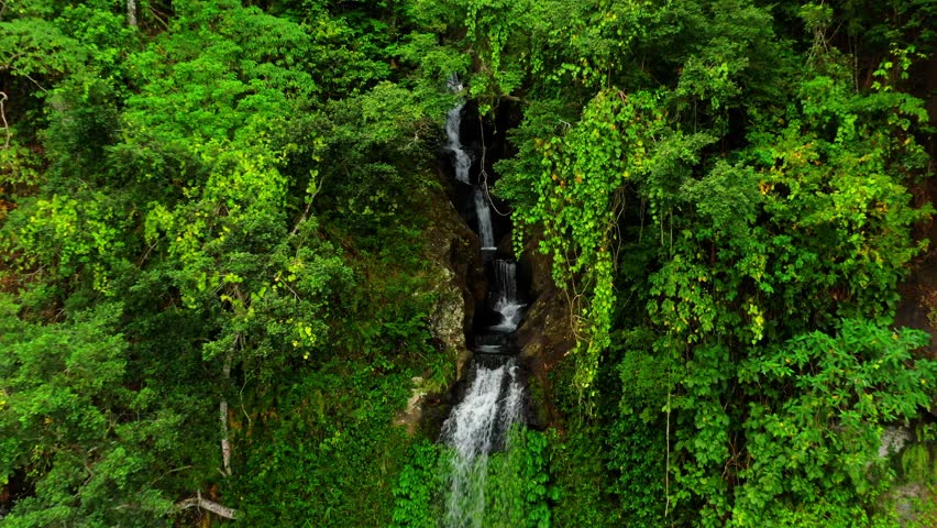 Aerial View of Forest Water Stream Flowing Down Background. Wild Geological Stone Wall Covered With Moss and Exotic Vines in Humid. Amazing Rainforest Environment Perfect Adventure Travel Concepts 4k