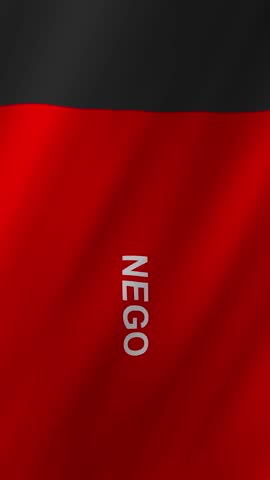 Vertical Paraiba Flag 4K Brazil State Pride Animation Flag PB Symbol