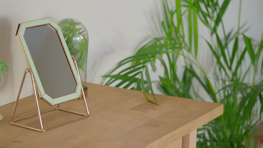 Minimalist interior design featuring stylish vanity mirror on wood table surrounded by green indoor foliage plants.