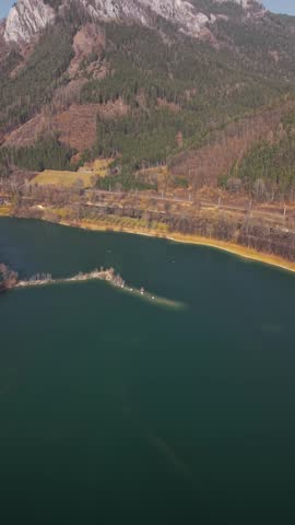 Aerial View of Austrian Crystal Lake in Autumn, Vertical aerial view of a winding road passing through a dense forest with vibrant autumn foliage and orange trees.