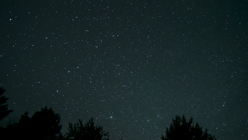 Clear starry sky above forest silhouettes night time lapse scene, cosmic background with bright constellations over quiet landscape