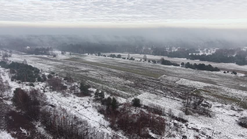 Quiet winter farmland landscape with tracks across snow