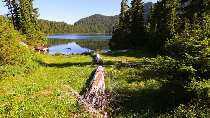 A peaceful, glassy alpine lake (Mowich Lake), the largest and deepest in Mount Rainier National Park, surrounded by lush evergreen forests and mountains on a clear, sunny day.