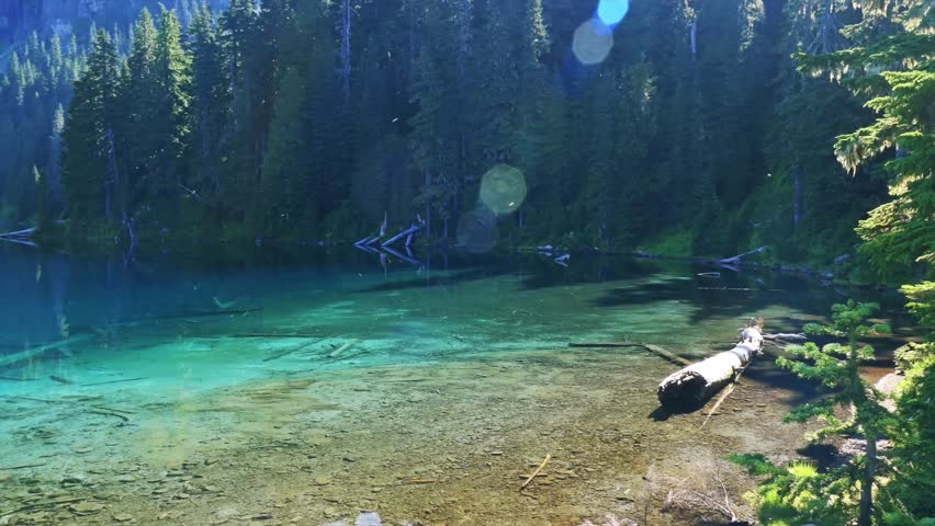 Footage of the crystal-clear, vibrant turquoise waters of a remote subalpine lake surrounded by dense evergreen forests in the Mowich Area of Mount Rainier National Park, Washington State.