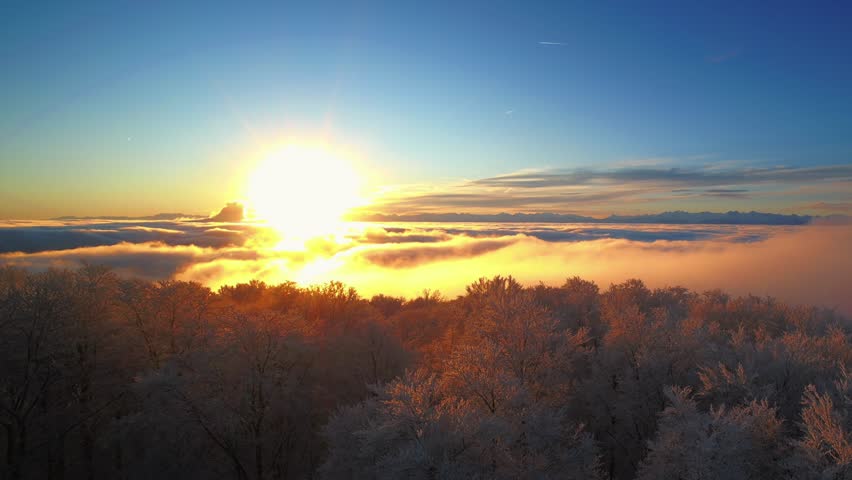 Golden Sunrise Over a Sea of Clouds with Frozen Winter Trees in Foreground