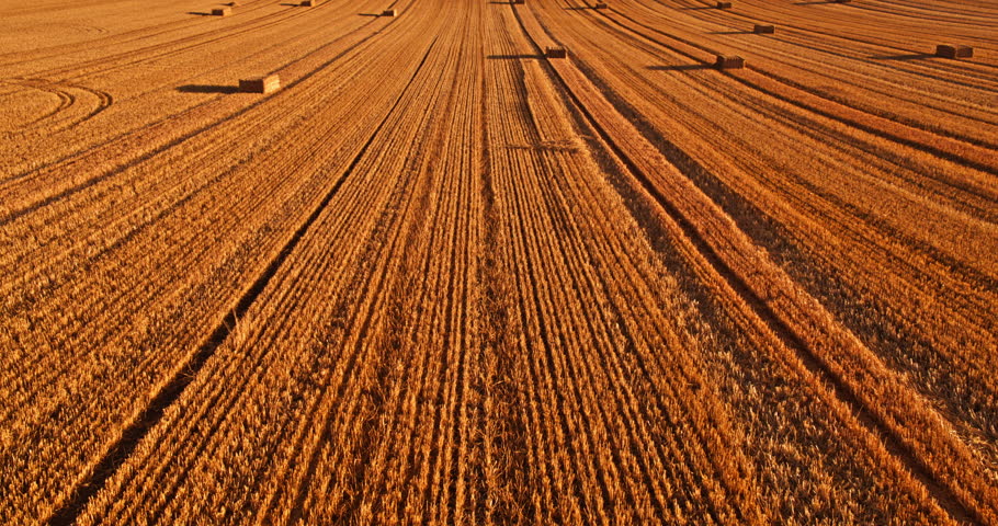 Aerial footage of a golden wheat field with straw bales during a scenic sunset