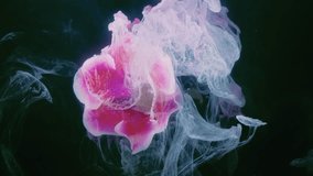 Vibrant coral bloom surrounded by swirling smoke, explosive ink plumes, highcontrast closeup, dramatic movement and color, experimental art piece - Powered by Shutterstock - Get 15% off with code: PIKWIZARD15