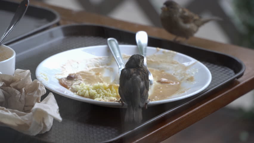 Gloved hand clearing a plate with leftover food from a wooden restaurant table, close-up view
