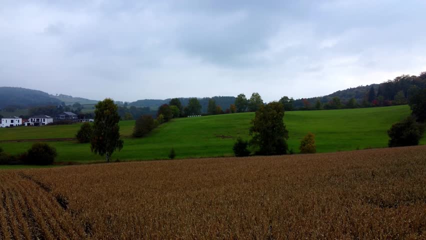 Ground-level footage of a golden-brown dried corn field near Dieburg, Hesse, Germany, filmed in October 2021. The camera tracks close to the tall maize stalks revealing their rich autumn texture, while the background shows lush green meadows, scattered trees, white farmhouse buildings, and wooded hills under an overcast grey sky. A moody and atmospheric rural Hessian agricultural scene at harvest time.