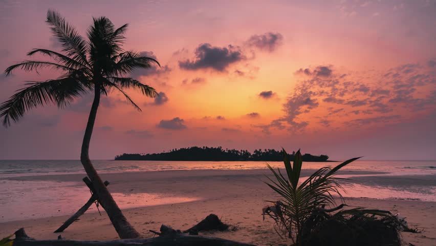 Tropical beach with scenery palm tree and colorful sunset above the ocean 4K