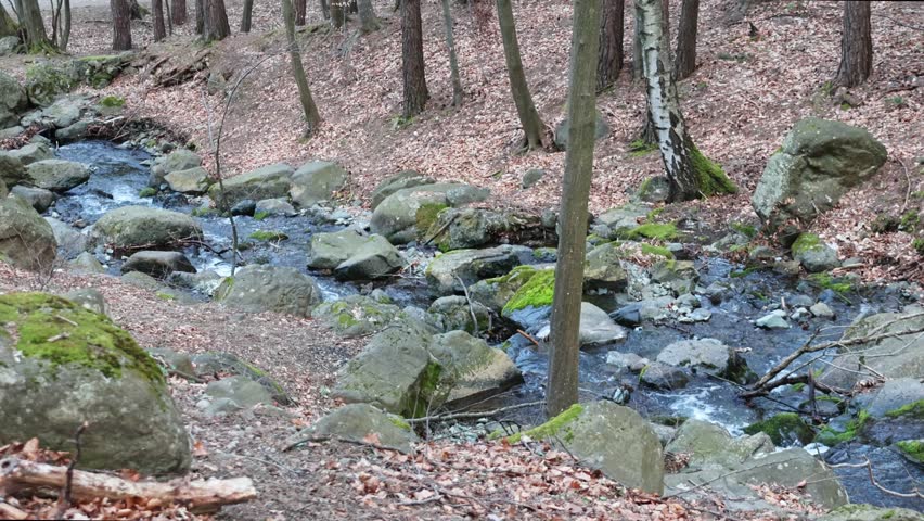 Beautiful mountain stream near Sofia, Bulgaria. 