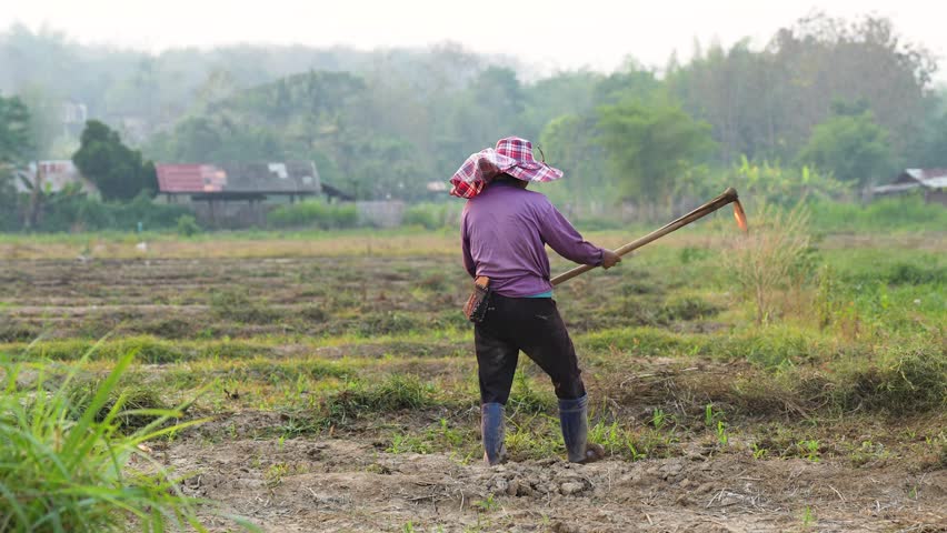 Farmer in Thailand countryside busy working on field, cleaning ground removing weeds, preparing soil for planting crops, unrecognizable worker taking care of land, traditional farming and food growing