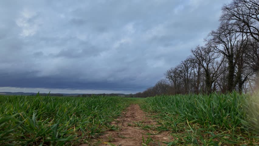 Woman walking along a path in a green field outdoors, quiet solitude, freedom journey, countryside exploration, springtime nature.