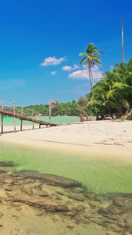 Tropical beach with scenery palm tree above ocean at colorful sunset. Summer vacation in tropical paradise concept 4K Vertical video