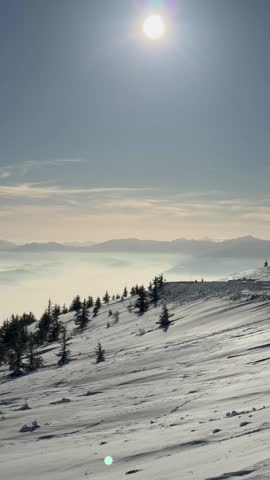 Snowy Mountain Slope Above Sea of Clouds with Pine Trees and Misty Horizon