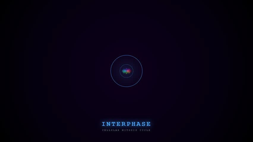 The precise biometric data flow governs intricate cellular mitosis, illustrated through vibrant, glowing abstract stages of interphase, metaphase, and telophase.