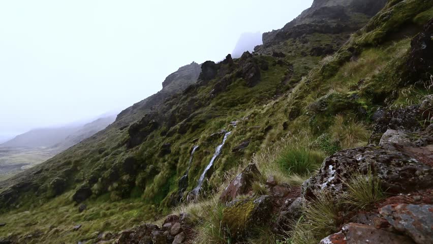 New Zealand, small waterfall in mountains overgrown with wild subtropical vegetation under foggy and rainy weather conditions