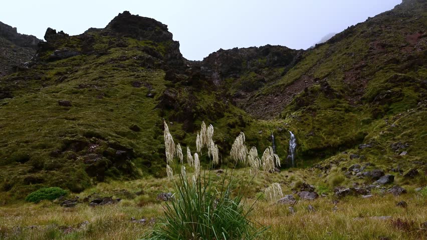 New Zealand, small waterfall in mountains overgrown with wild subtropical vegetation under foggy and rainy weather conditions