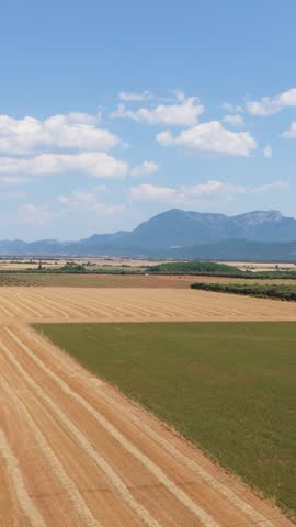Aerial drone view of agricultural fields after the harvest season. A vast rural landscape with golden stubble and green meadows under a blue sky