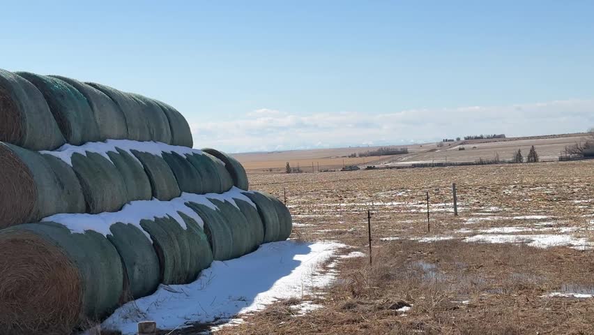 Expansive Alberta prairie landscape with open farmland and vast sky highlighting rural countryside and natural Canadian environment