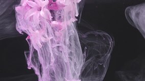 Pink hyacinth crown engulfed by ink cascade, theatrical cinematic effect, powerful plume of tinted smoke and liquid flow against dark studio backdrop, - Powered by Shutterstock - Get 15% off with code: PIKWIZARD15