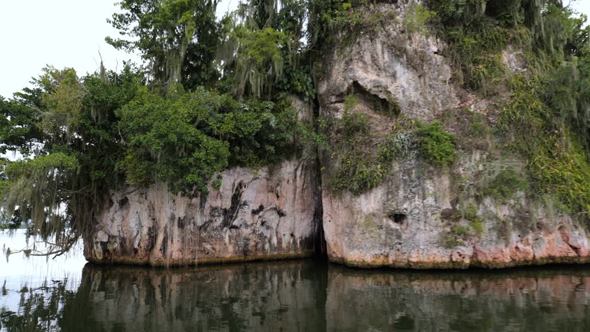 A stony riverbank overgrown with ferns and mangrove trees during low tide in the Okefenokee Swamp, (Okefenokee National Wildlife Refuge), USA