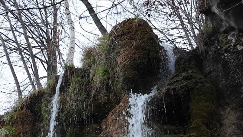 Small forest waterfall flowing on both left and right sides over mossy rocks, surrounded by bare trees. Natural stream creates a peaceful scene with gentle water movement in early spring landscape.