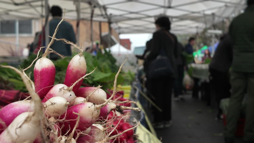 radishes for sale at an outdoor green market in Brooklyn
