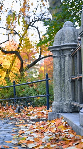 Central Park in autumn and Manhattan skyscrapers, New York City