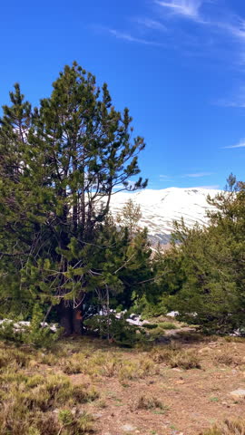 Panoramic view of the snow capped peaks of the Sierra Nevada Mountains revealing dramatic alpine landscapes and winter light in Spain