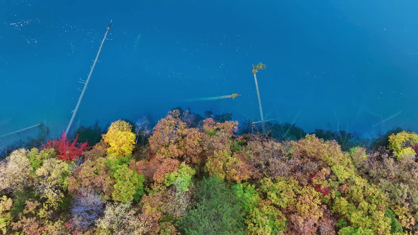 Scenic of Jiuzhaigou national park in autumn, China.