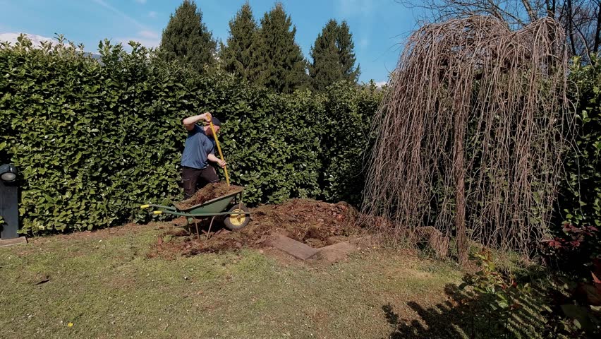 Wide shot of man working with pitchfork and compost near large humus pile in garden. Large scale garden fertilization work.