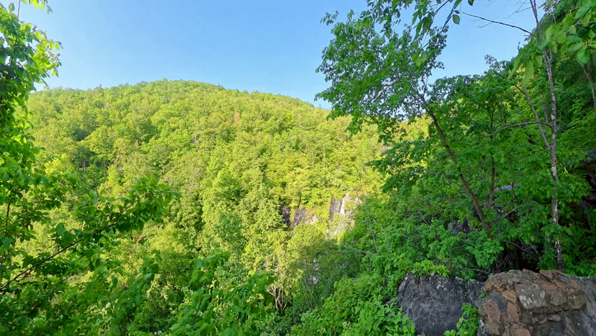 Distant View of Waterfall Through Woods in Shenandoah National Park