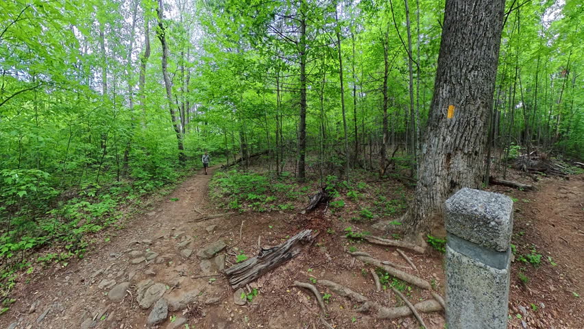 Man Approaches Intersection in Shenandoah National Park